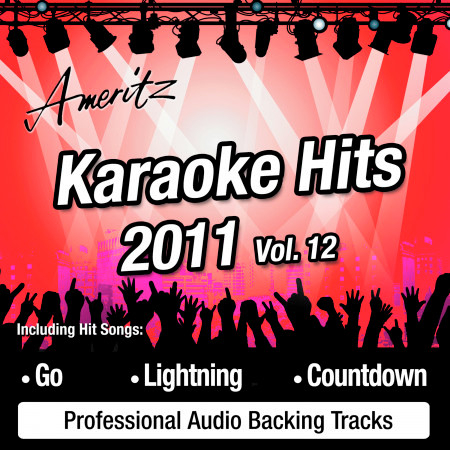 Karaoke Hits 2011 Vol. 12