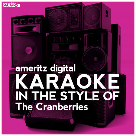 Karaoke (In the Style of the Cranberries)