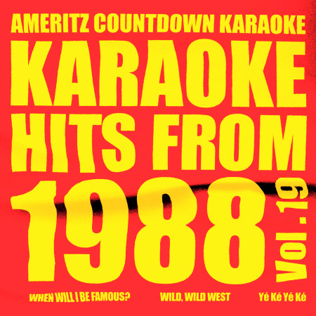 Karaoke Hits from 1988, Vol. 19