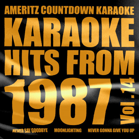 Karaoke Hits from 1987, Vol. 14
