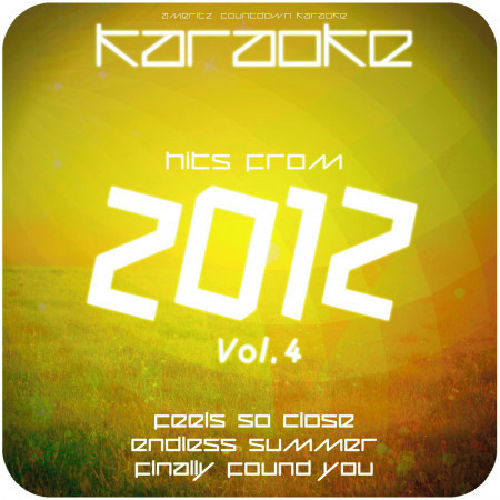 Karaoke - Hits from 2012, Vol. 4