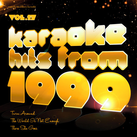 Karaoke Hits from 1999, Vol. 17