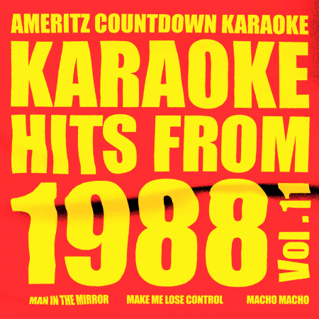 Karaoke Hits from 1988, Vol. 11