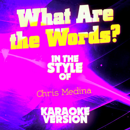 What Are the Words? (In the Style of Chris Medina) [Karaoke Version] - Single