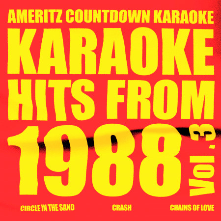 Karaoke Hits from 1988, Vol. 3