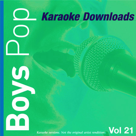 Karaoke Downloads - Boys Pop Vol.21