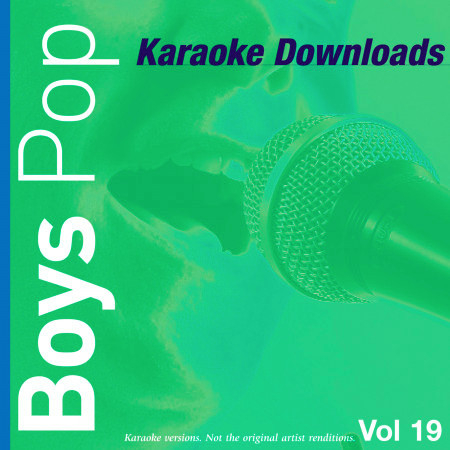 Karaoke Downloads - Boys Pop Vol.19