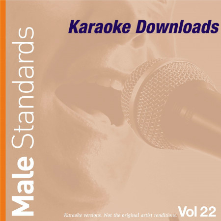 Karaoke Downloads - Male Standards Vol.22
