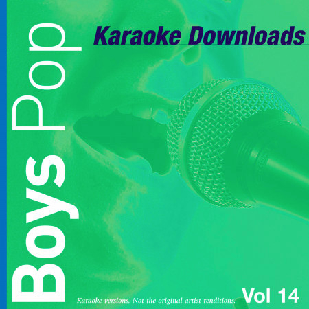 Karaoke Downloads - Boys Pop Vol.14