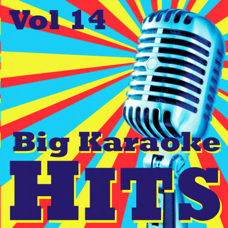 Big Karaoke Hits Vol.14
