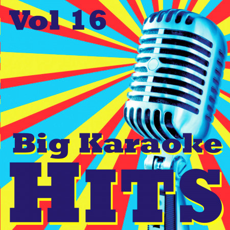 Big Karaoke Hits Vol.16