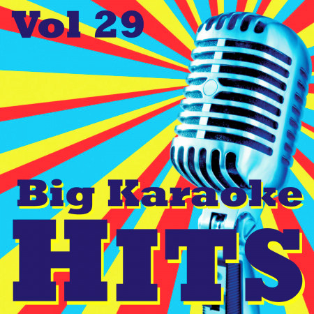 Big Karaoke Hits Vol.29