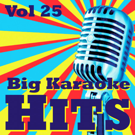 Big Karaoke Hits Vol.25
