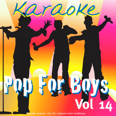 Karaoke - Pop For Boys Vol.14