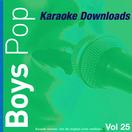 Karaoke Downloads - Boys Pop Vol.25