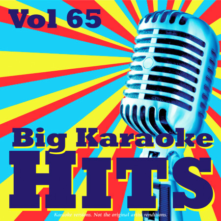Big Karaoke Hits Vol.65