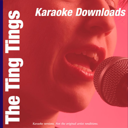 Karaoke Downloads - The Ting Tings
