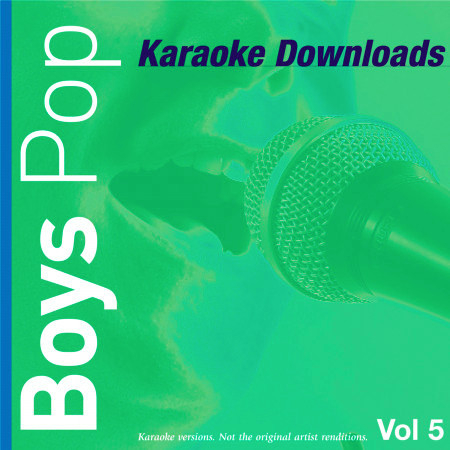 Karaoke Downloads - Boys Pop Vol.5