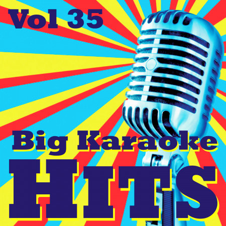 Big Karaoke Hits Vol.35
