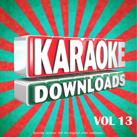 Karaoke Downloads Vol.13