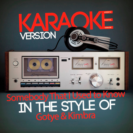 Somebody That I Used to Know (In the Style of Gotye & Kimbra) [Karaoke Version] - Single