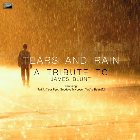Tears and Rain - A Tribute to James Blunt