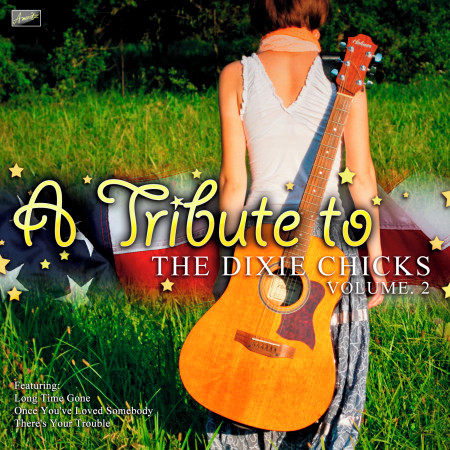 A Tribute to Dixie Chicks Vol. 2