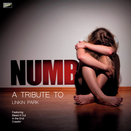 Numb - A Tribute to Linkin Park