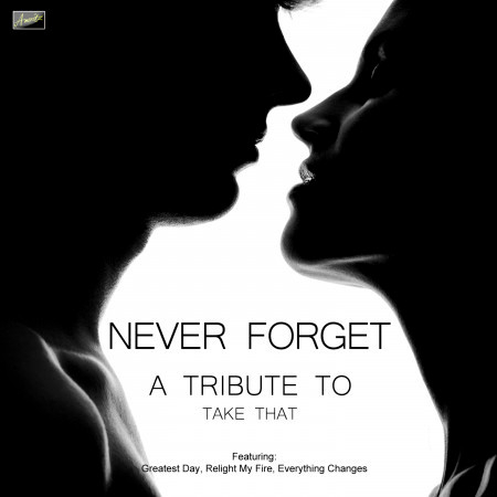 Never Forget - A Tribute to Take That