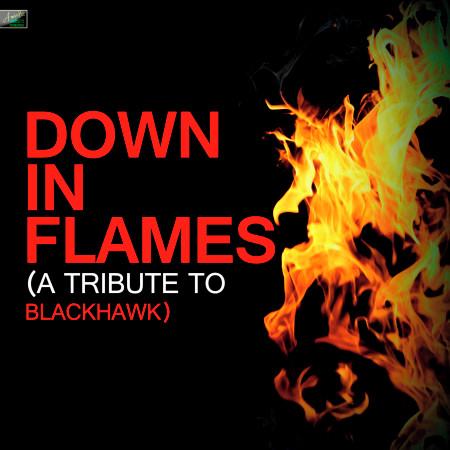 Down in Flames - A Tribute to Blackhawk