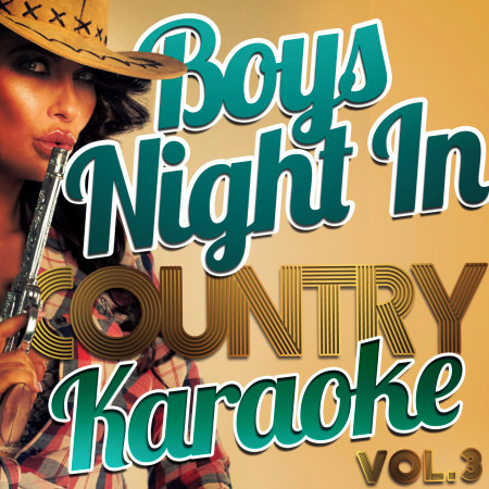 Boys Night In - Country Karaoke, Vol. 4