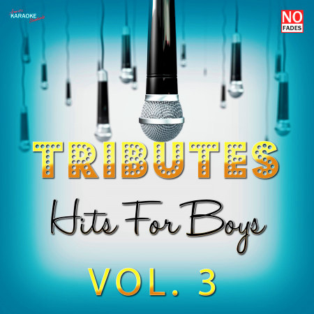 Tributes - Hits for Boys Vol. 3