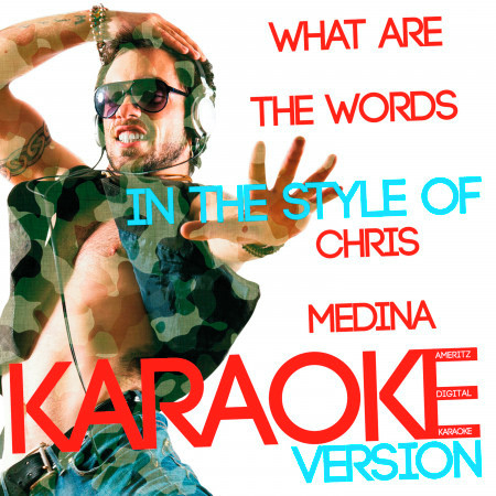What Are the Words (In the Style of Chris Medina) [Karaoke Version] - Single