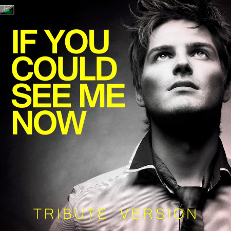 If You Could See Me Now (Tribute Version)專輯 Ameritz Tribute Standards