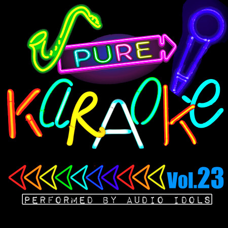 Pure Karaoke, Vol. 23