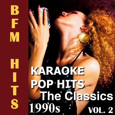 Karaoke: Pop Hits 1990s the Classics, Vol. 2