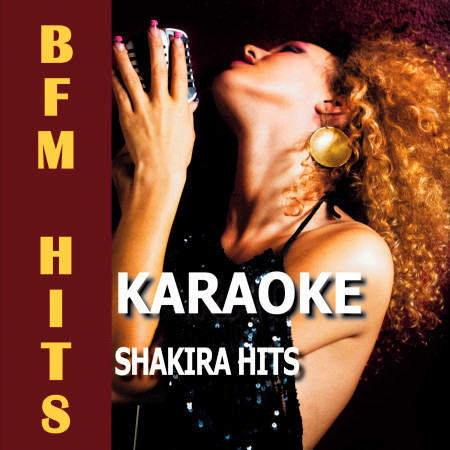 Poem to a Horse (Originally Performed by Shakira) [Karaoke Version]