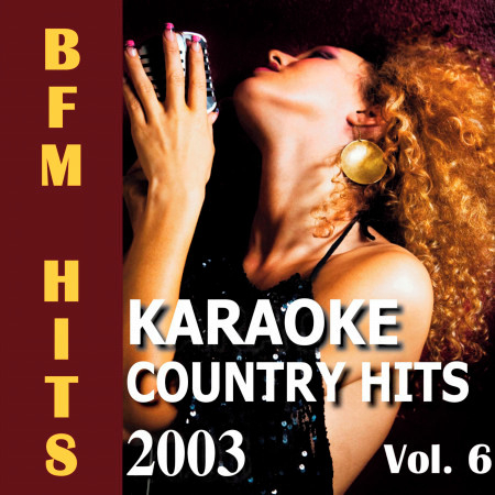 Karaoke: Country Hits 2003, Vol. 6