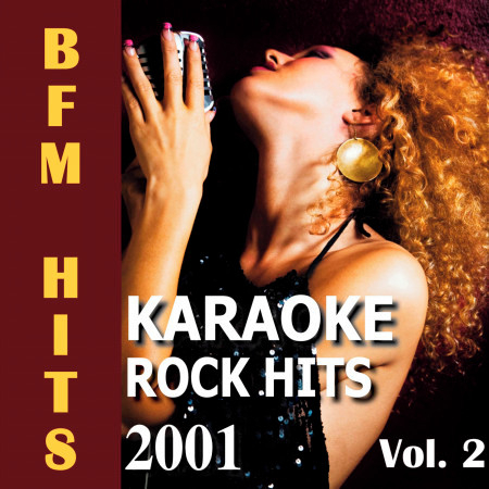 Karaoke: Rock Hits 2001, Vol. 2