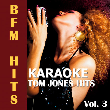 Karaoke: Tom Jones Hits, Vol. 3