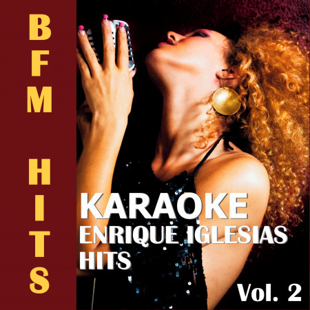 Karaoke: Enrique Iglesias Hits, Vol. 2