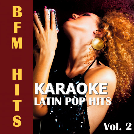 Karaoke: Latin Pop Hits, Vol. 2