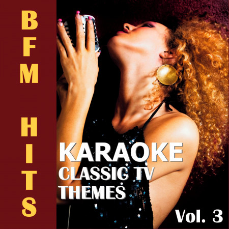 Karaoke: Classic Tv Themes, Vol. 3