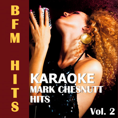 Karaoke: Mark Chesnutt Hits, Vol. 2