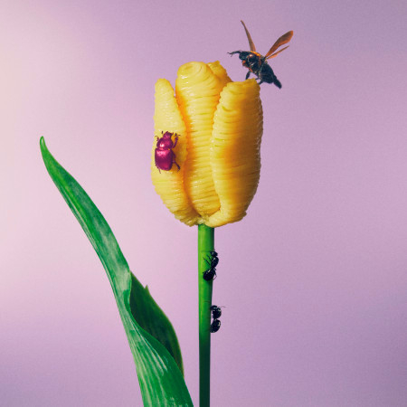 聽說有好吃的義大利麵