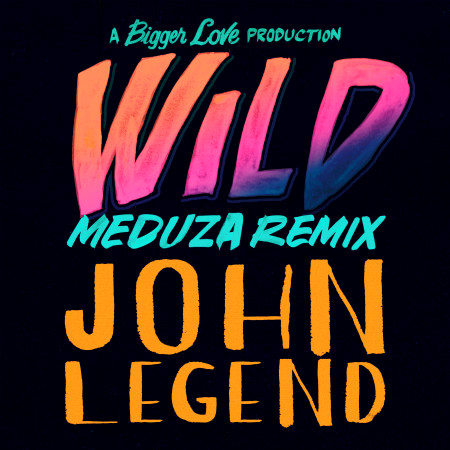 Wild (Meduza Remix) 專輯封面
