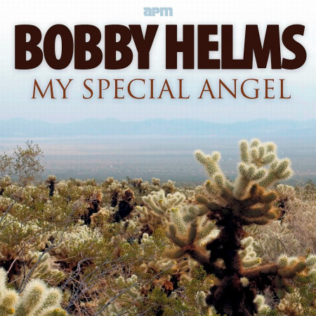 My Special Angel - The Best of Bobby Helms