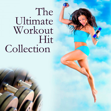 The Ultimate Workout Collection 2010