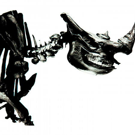 Alive Mr Children Mr Children 1996 2000專輯 Line Music