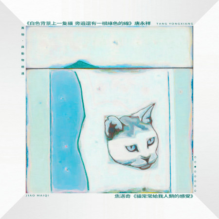 貓常常給我人類的感受